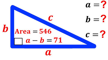Can you find the missing side lengths? | (Right Triangle) | #math #maths | #geometry