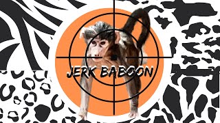 Hilarious Jerk Baboon Snatches Food at Victoria Falls Bridge Cafe