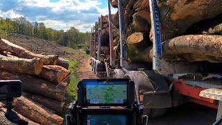 Let’s Have a DUCK DO!