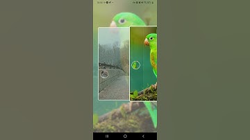 React native flatlist animation