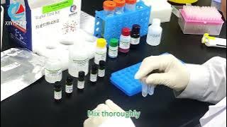 Operation Procedure for Glycinin / β-conglycinin ELISA Test Kit (Test range 1-64ppm)