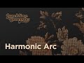 Capture de la vidéo Lunchtime Concert | Harmonic Arc