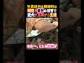 生放送中の奇跡的な瞬間❗️竜巻の被害で愛犬が瓦礫から生還😭✨