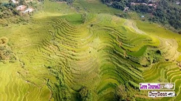 Ruộng Bậc Thang Hình Trái Tim | Hoa Của Núi, Đường Về Lạc Sơn | Hoàng Quyên, Hoàng Quý