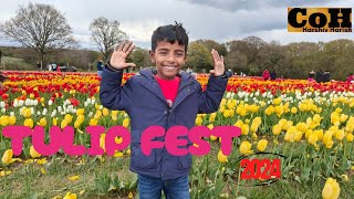 A Trip to Tulips Field | Tulleys Tulip Festival 2024 | Tulips Farm in London