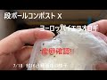 段ボールコンポスト X コオロギ飼育 Part2