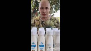 how to cut perfect durian fruit