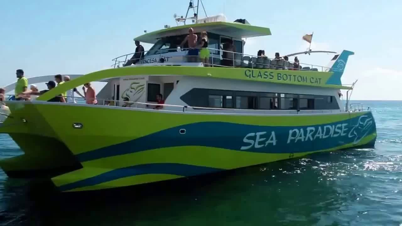 glass bottom boat & beach tour – detour roatan