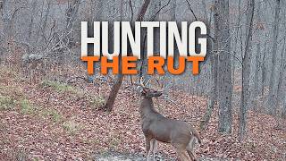 How To Hunt The Rut | Whitetail Deer Hunting Strategies