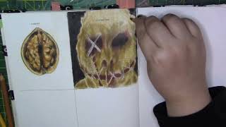 Day 12 Drawing Everyday until Halloween Challenge || prompt 95: burlap sack || 642 Things to Draw