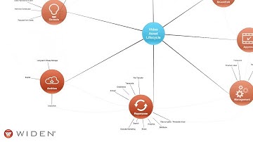 A Guide to the Video Asset Lifecycle