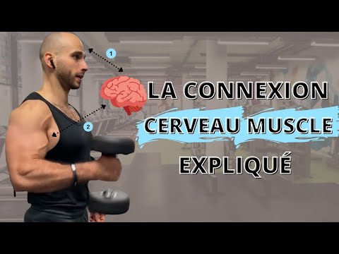 Comprendre La Connexion Cerveau Muscle en 4 minutes