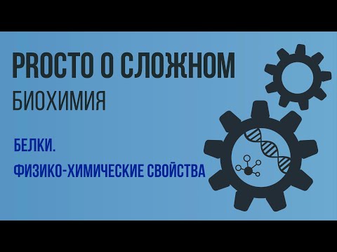 PROСТО О СЛОЖНОМ Физико-химические свойства белков, биохимия №6