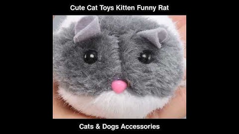 Cute Cat Toys Kitten Funny Rat Safety Plush Little Mouse Interactive Toy | Cats & Dogs Accessories