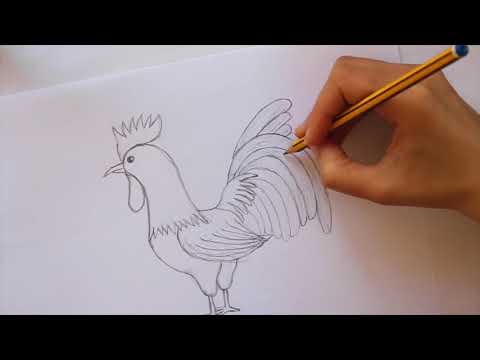Cómo dibujar Un Gallo Dibuja Conmigo Dibujos de Animales - Speed Paint -  YouTube