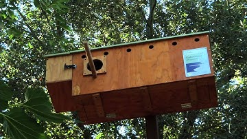 Port of Stockton: Barn Owl Nest Boxes