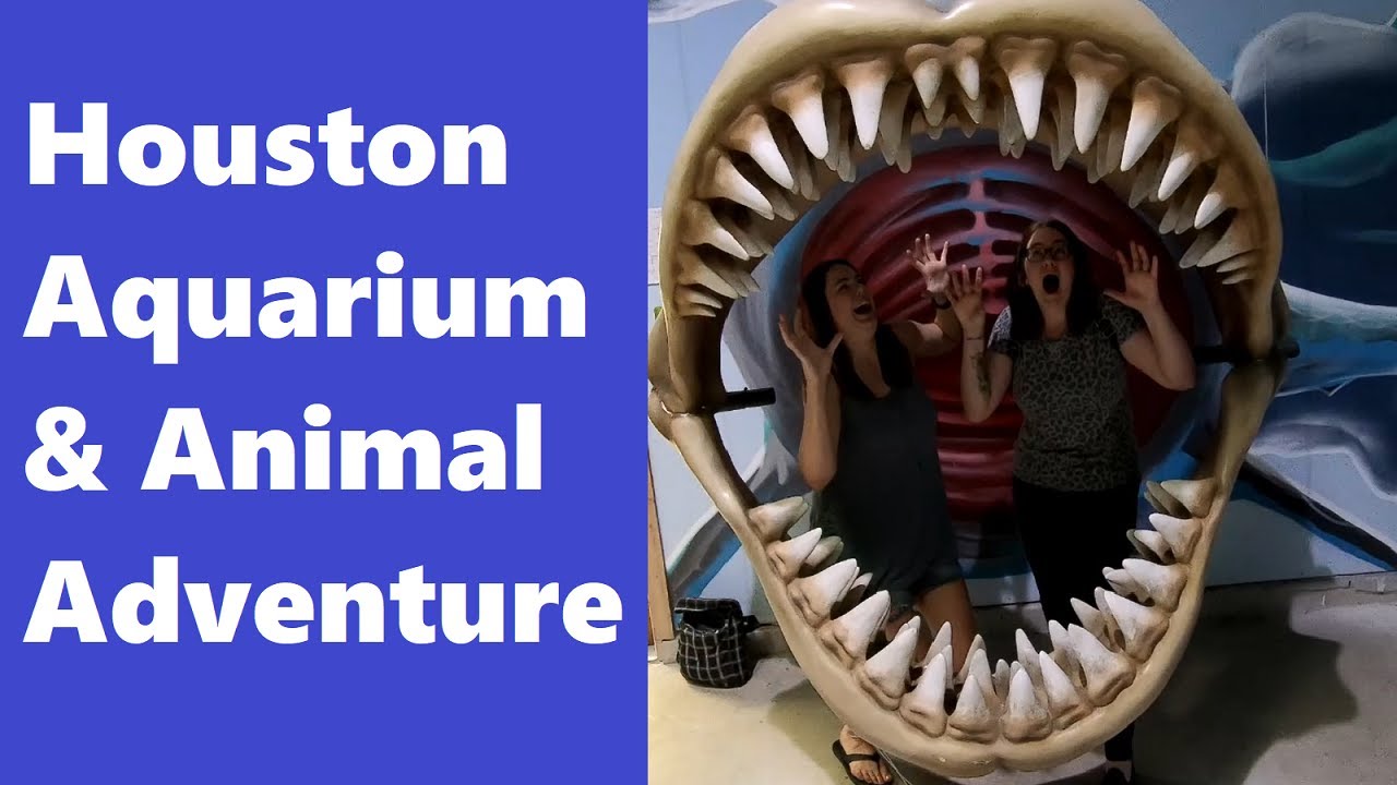 Houston Aquarium & Animal Adventure Evette and Yvonne's 34th Birthday