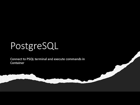 PostgreSQL Container - Connecting PSQL terminal
