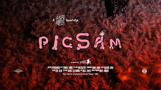 Video-Miniaturansicht von „Soerii & Poolek: PICSÁM (Official Music Video)“