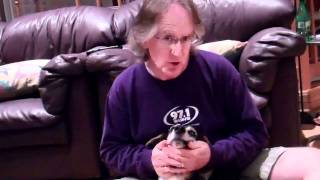 WASH-FM's Loo Katz for Pro Plan Selects dog food