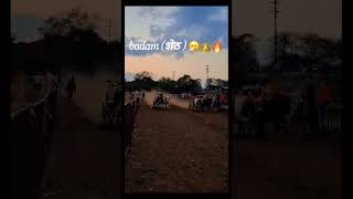 badam shet #viral #youtubeshorts #bailgadasharyat #mathur1001 #bakasur