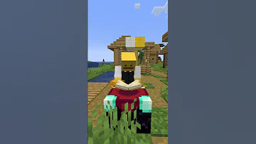 مقلب العسل في ماين كرافت 