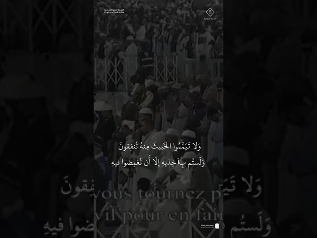 مقتطف من تلاوة فضيلة الشيخ #محمد_برهجي من صلاة التراويح ليلة 3 رمضان 1446هـ