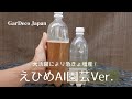 【活力剤】えひめAI園芸Ver.を作ってみる【葉面散布】