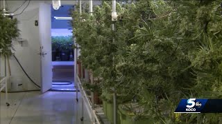 Group submits signatures in effort to legalize recreational marijuana in Oklahoma