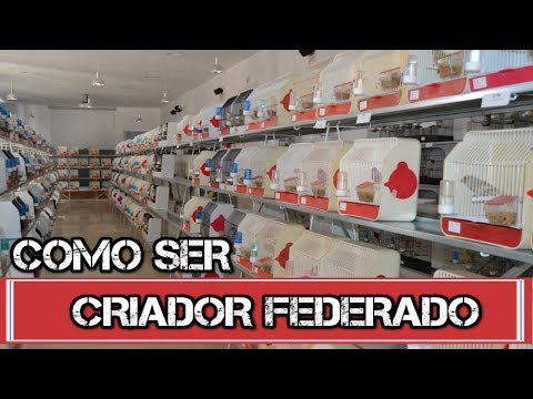 COMO SER CRIADOR FEDERADO