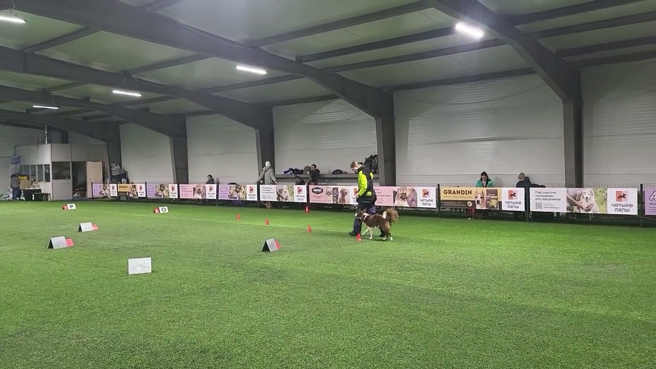 Март 2026, ро1, Брусничка, мои 10 баллов штрафа и 89 баллов в итоге