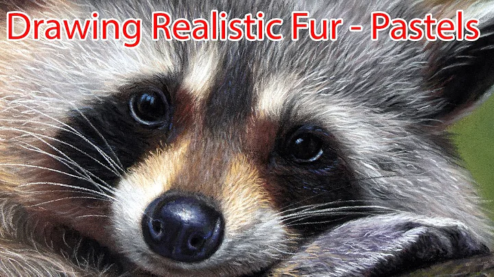 Drawing Realistic Fur using Pastel Pencils - Jason...