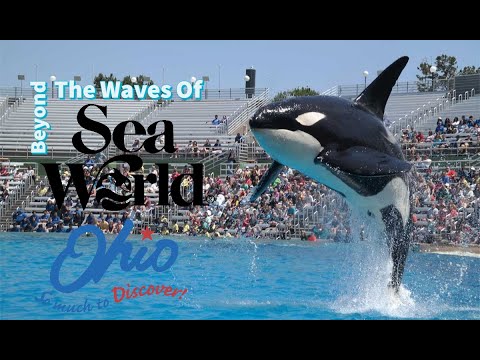 Video: Geauga Lake, SeaWorld və Six Flags Ohio açıqdır?
