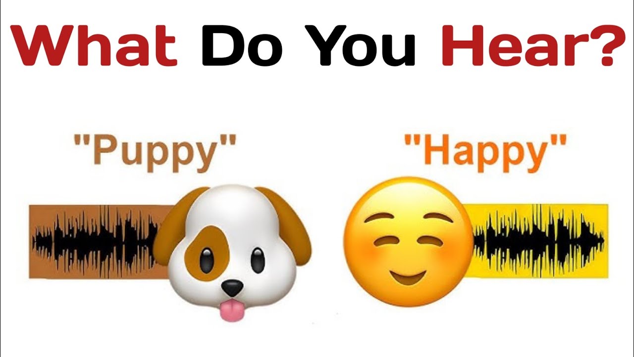 What Do You Hear? Puppy or Happy π... - YouTube