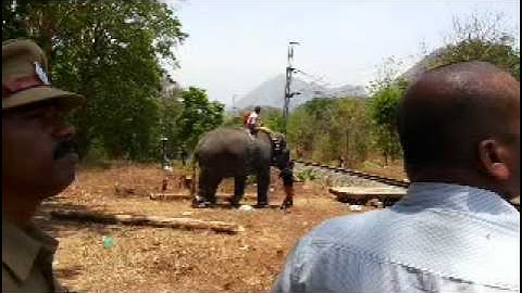 Early Warning System