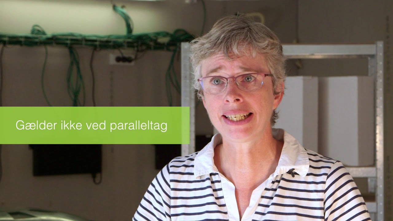 Forsøg med isolering af lofter