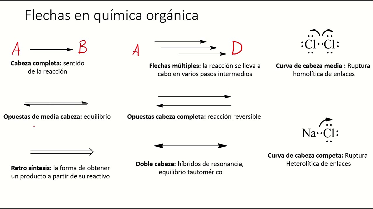 En Una Ecuacion Quimica Que Significa La Flecha www.youtube.com