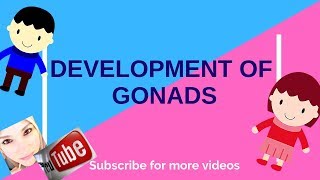 Special Embryology - Urogenital System - 6 Gonads