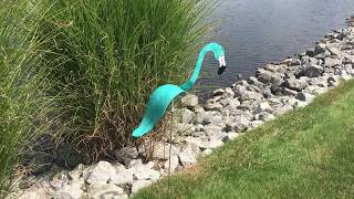 Florida Dancing Birds® Aqua Flamingo Garden Art