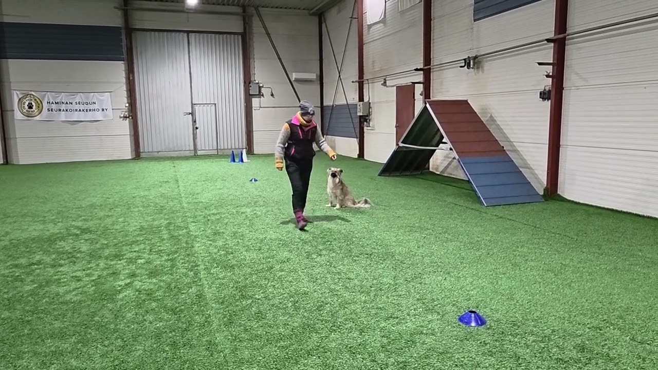 Kokeenomainen treeni osa 1