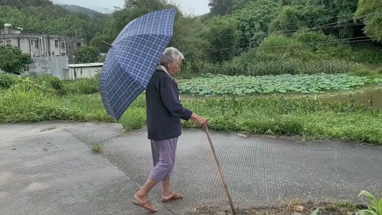 Country Life | Discover Scenery & Real Life Everyday in China Countryside 