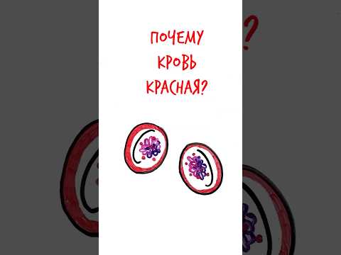 Почему КРОВЬ КРАСНАЯ? — Научпок #шортс