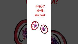Почему КРОВЬ КРАСНАЯ? — Научпок #шортс