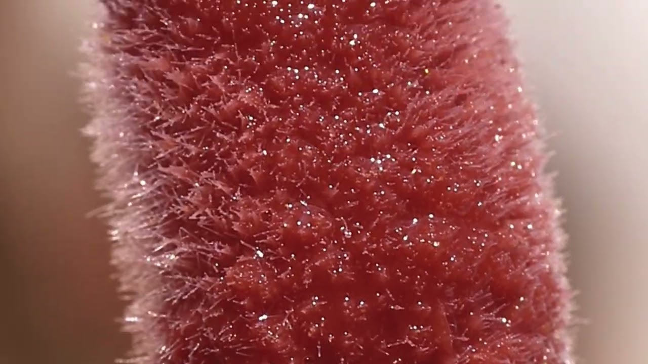 Spice Up Your Routine This Season🥧