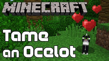 How to Tame an Ocelot in Minecraft