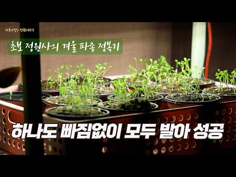 (SUB)실패없는 꽃씨 파종 방법, 그리고 발아 후 관리 방법