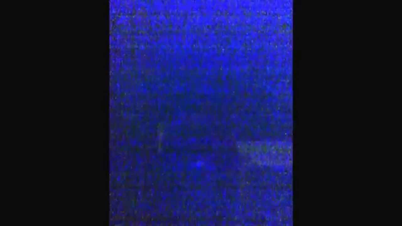 Mr. Rarefeezy smoke chamber vol.2