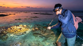 Berburu waktu air surut dan menombak malam hari hasil lumayan