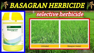 BASF Basagran Herbicide | Bentazon 480/sl | basagran herbicide price does work result | paddy crop