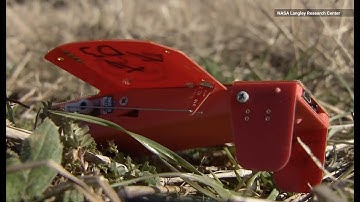 Watch NASA Release a Swarm of 100 Tiny Cicada Drones